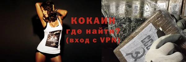 прущие грибы Бородино