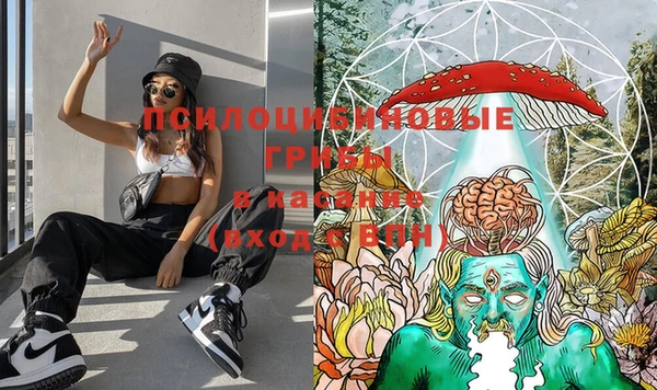 PSILOCYBIN Бугульма