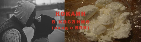 прущие грибы Бородино