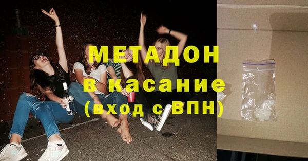 прущие грибы Бородино