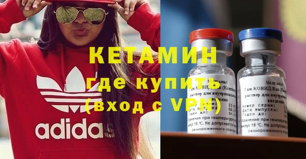 прущие грибы Бородино