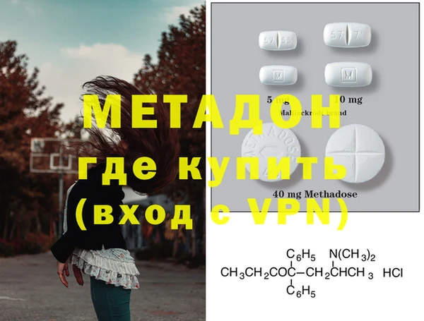 прущие грибы Бородино